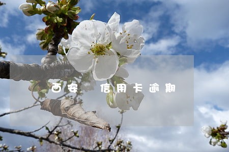 西安 信用卡逾期 西安 信用卡逾期